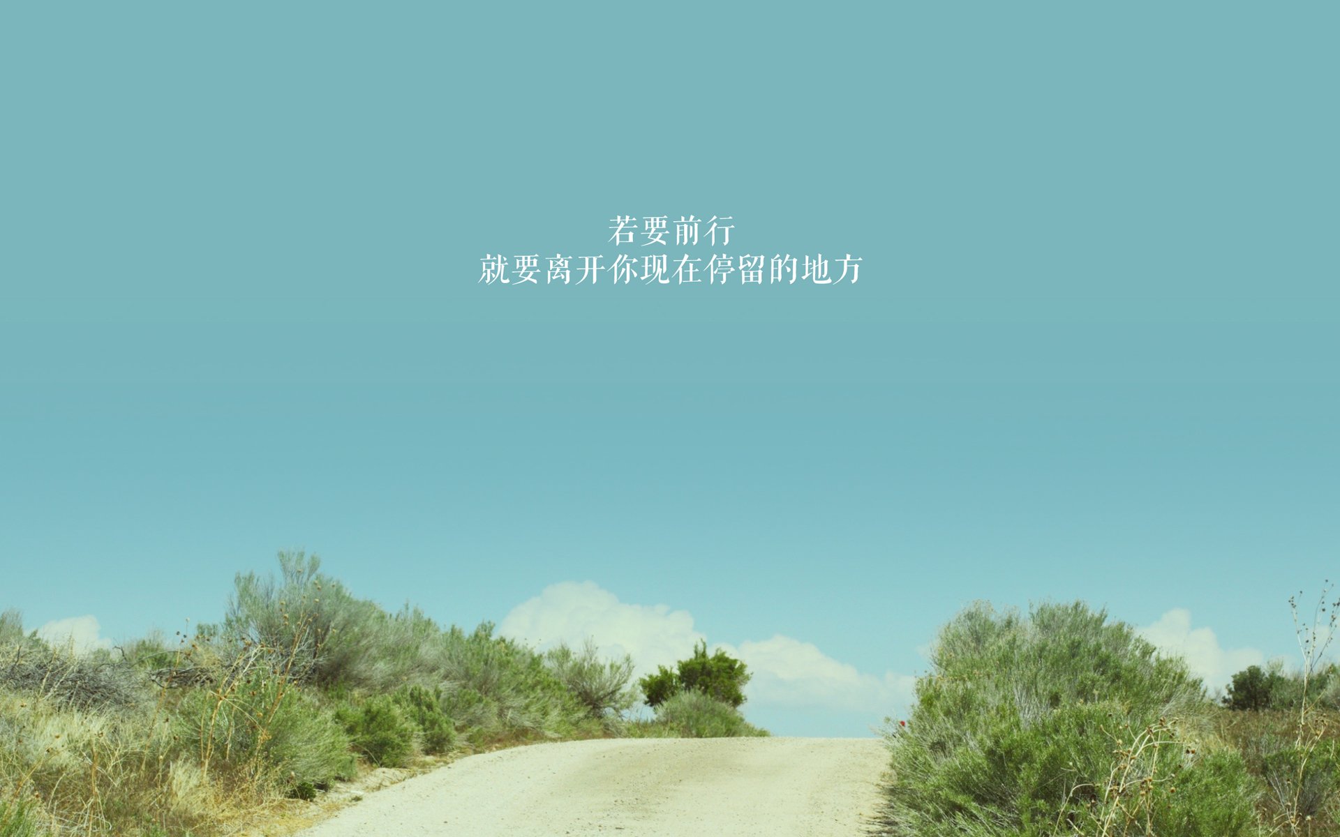 开云平台-博卡后卫出球被迫频繁回传,博卡的主场是哪个球场