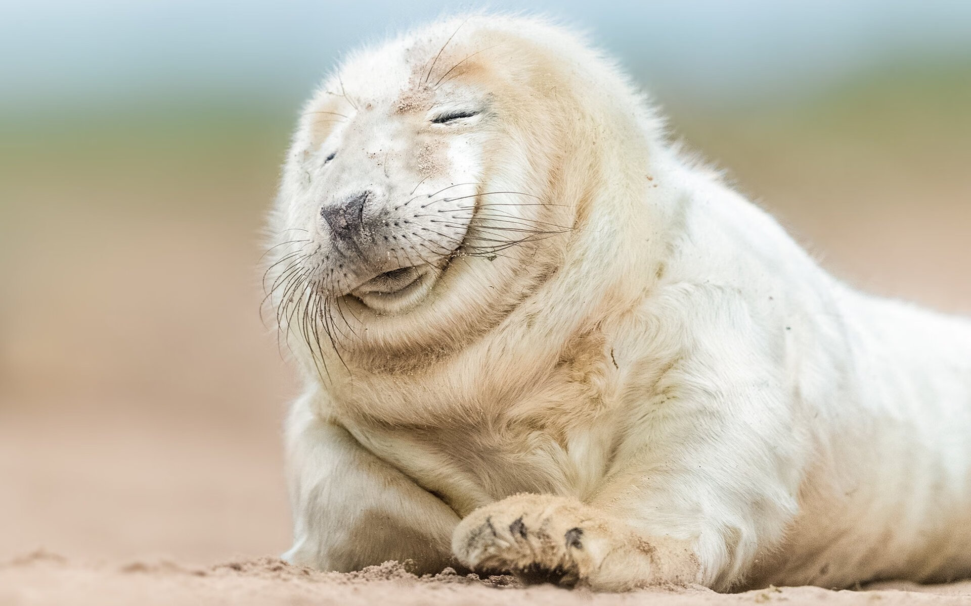 kaiyun开云·官方网站-控卫是否应在节奏变化中扮演指挥官角色,控卫dpoy