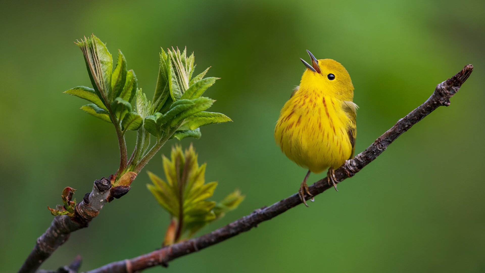 开云网站-节奏稳定性是否直接影响球队整体命中率,节奏稳是什么意思